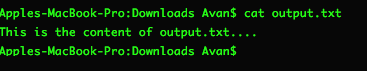 Screenshot fo running cat output.txt