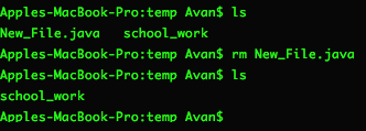 Screenshot of running ls then rm New_File.java and the ls