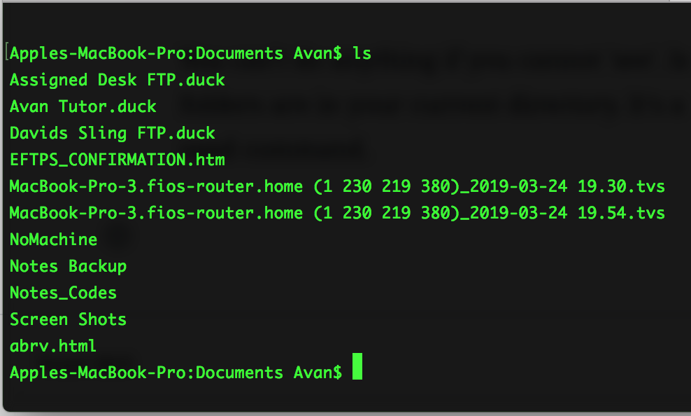 screenshot of running an ls command in mac terminal.