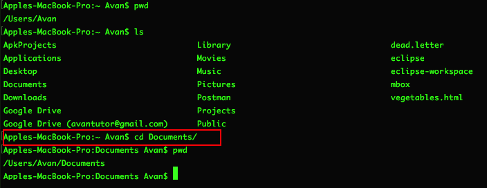 Screenshot of running pwd then ls then cd documents and finally pwd.