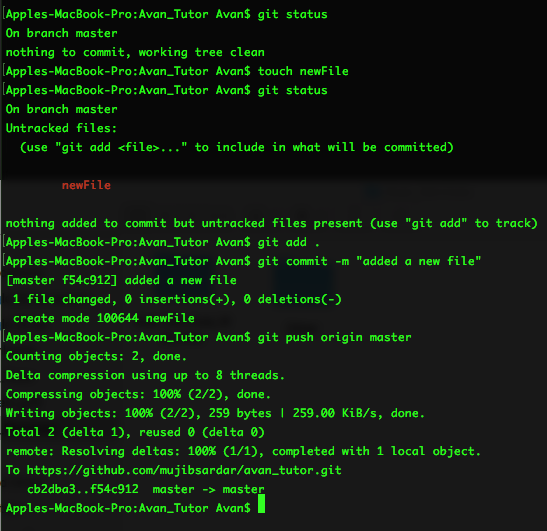 Screenshot of git status, touch newFile, git status, git add ., git commit -m "Added a new file" and finally git push origin master